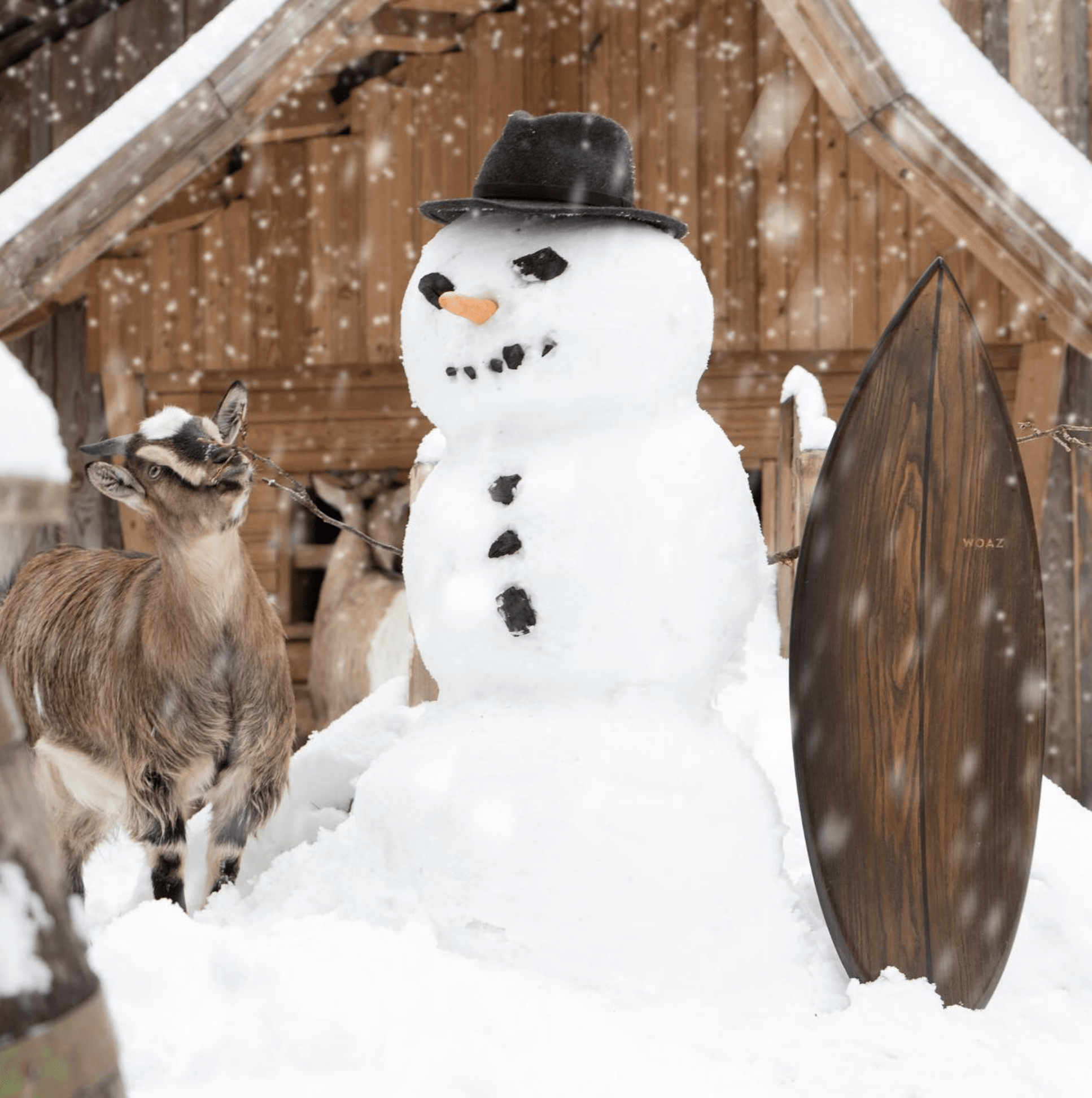 Im Winter, wie im Sommer …