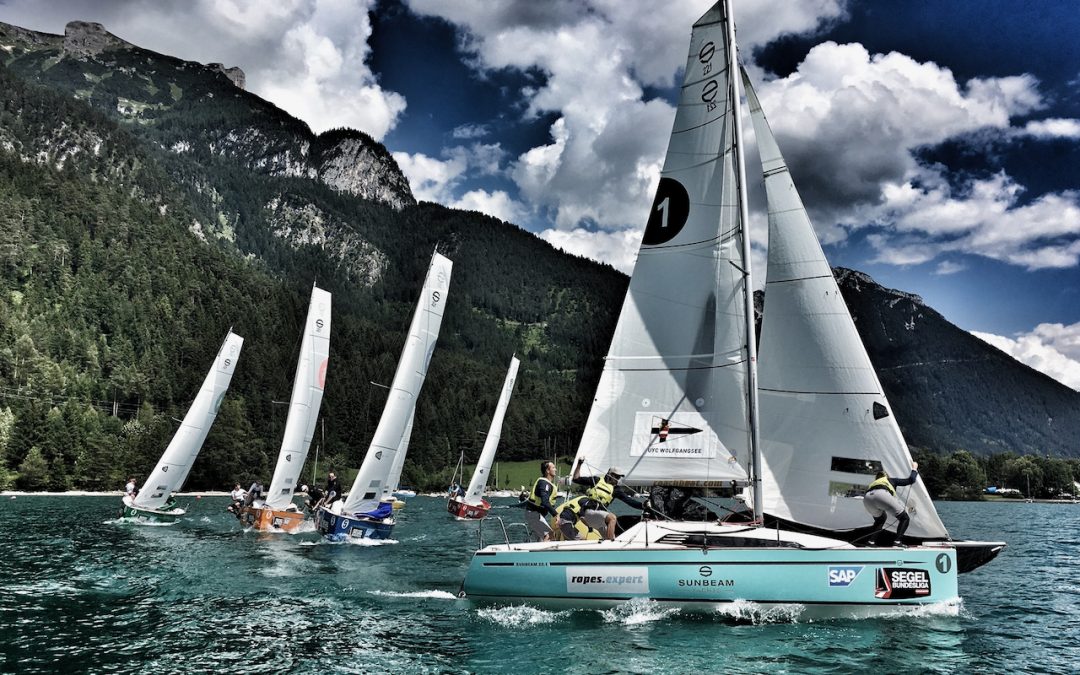 Alle jagen die Ruster