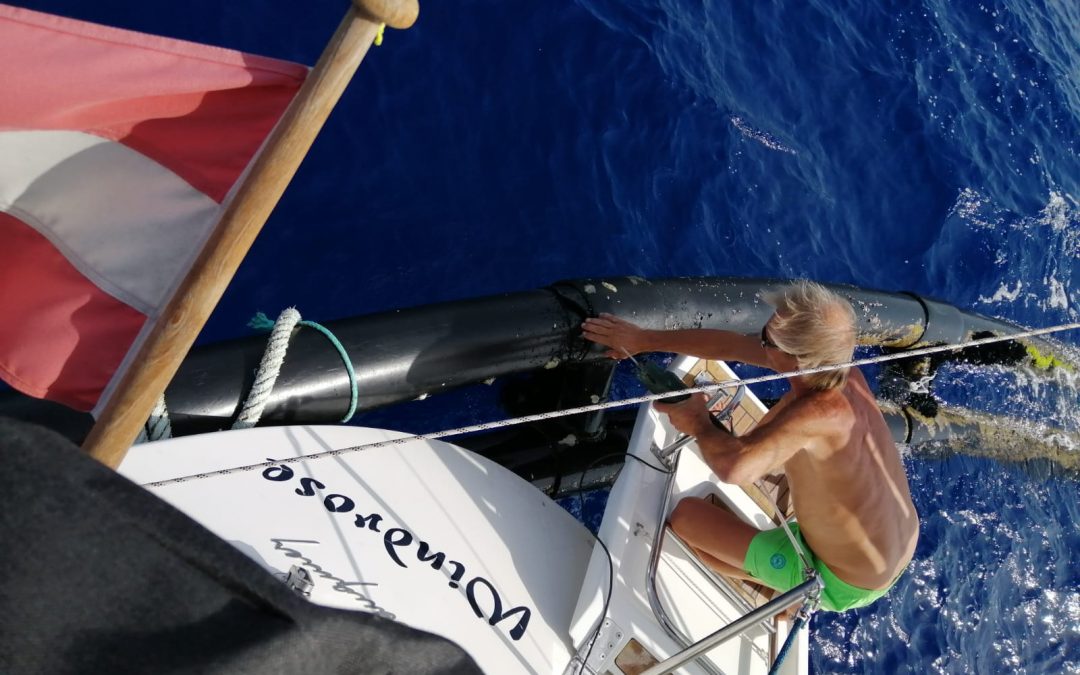 Gefangen auf Hoher See