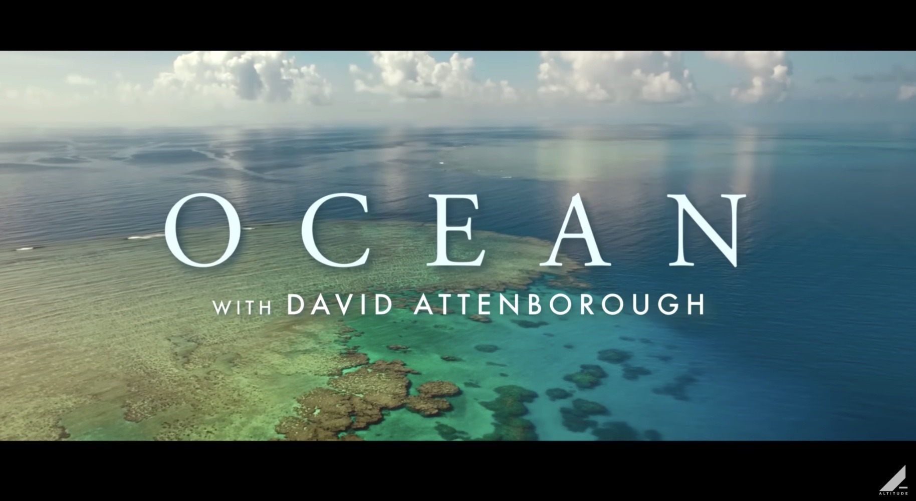 OCEAN – jetzt im Kino!