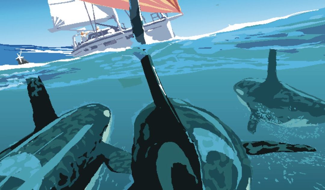 Orcas: Tierschutz ja – aber was gilt bei akuter Gefahr?