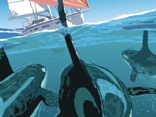 Orcas: Tierschutz ja – aber was gilt bei akuter Gefahr?